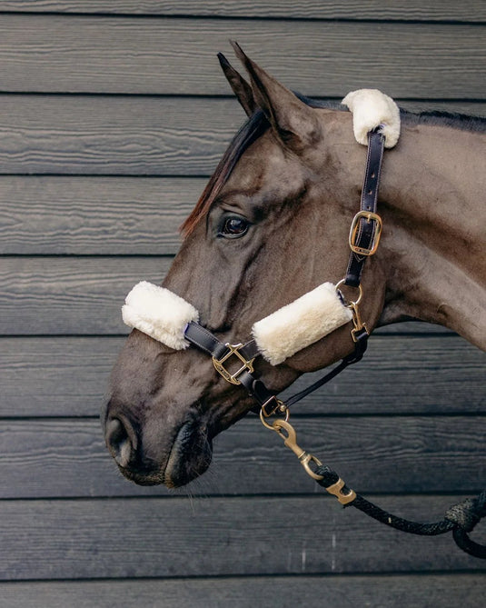 KM Elite Teddy Soft Headstall Set - Ashurst Equestrian & Country