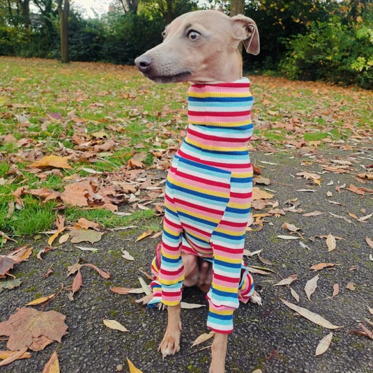 Knit Jersey Suit - Grey Stripe - Ashurst Equestrian & Country