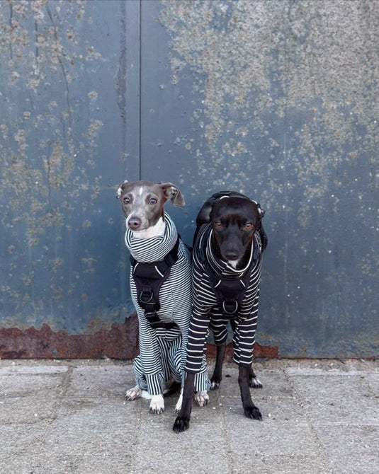 Knit Jersey Suit - Grey Stripe - Ashurst Equestrian & Country