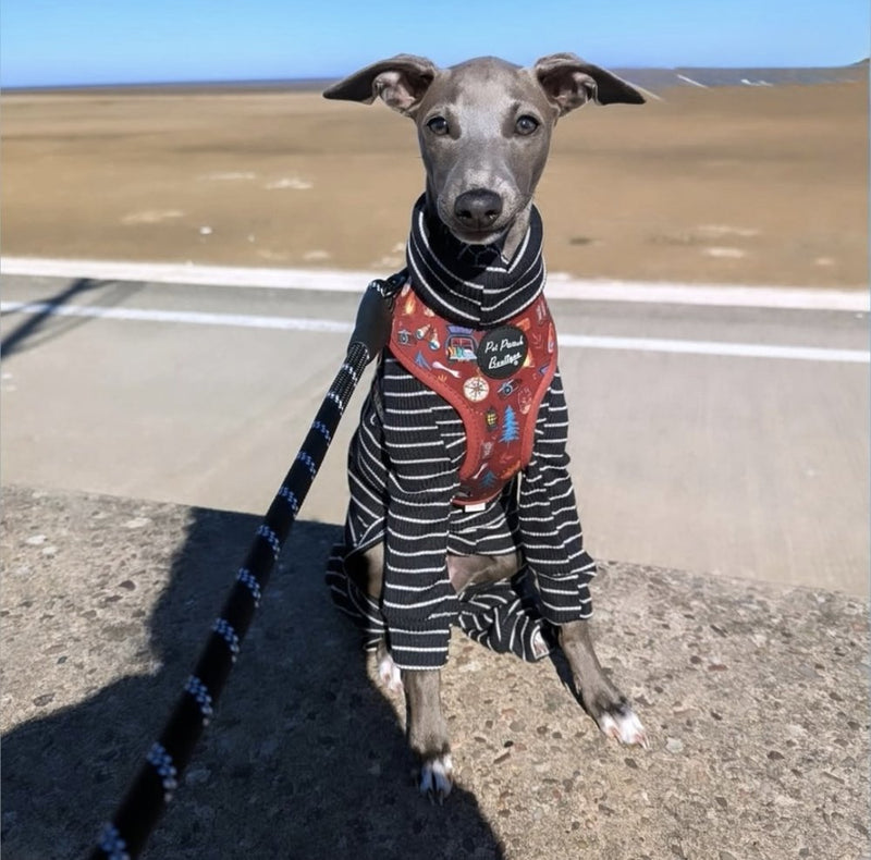 Load image into Gallery viewer, Knit Jersey Suit - Grey Stripe - Ashurst Equestrian &amp; Country
