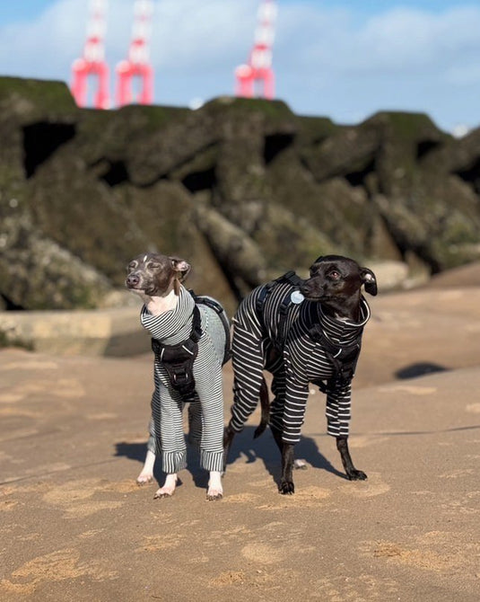 Knit Jersey Suit - Grey Stripe - Ashurst Equestrian & Country