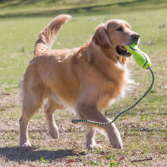 Kong Airdog Fetch Stick With Rope - Ashurst Equestrian & Country