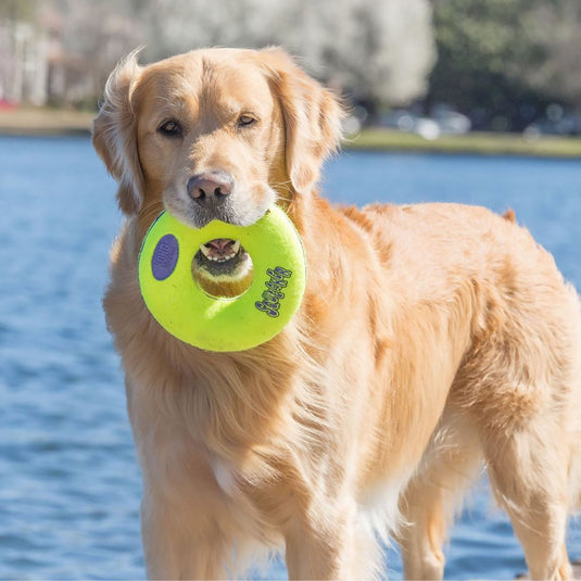 Kong Airdog Squeaker Donut - Ashurst Equestrian & Country