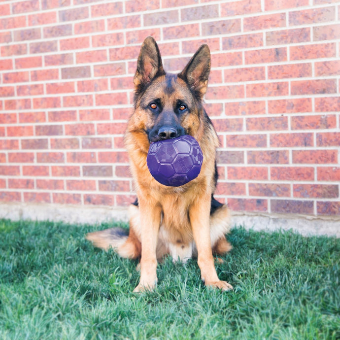 Kong Flexball - Ashurst Equestrian & Country