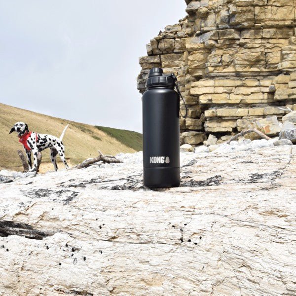 Load image into Gallery viewer, KONG H2O Duo Drinker 910ml - Ashurst Equestrian &amp; Country
