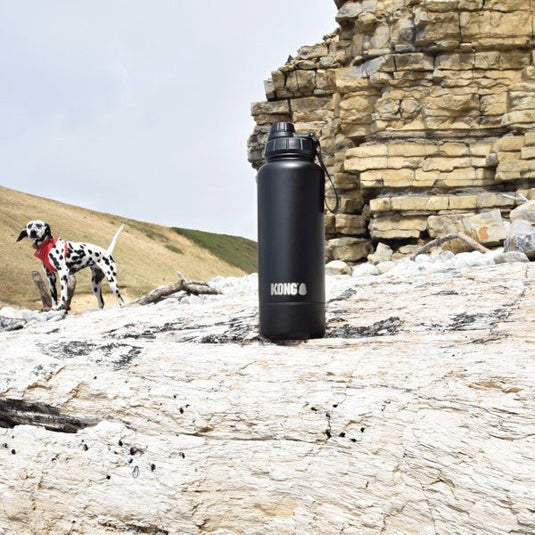 KONG H2O Duo Drinker 910ml - Ashurst Equestrian & Country