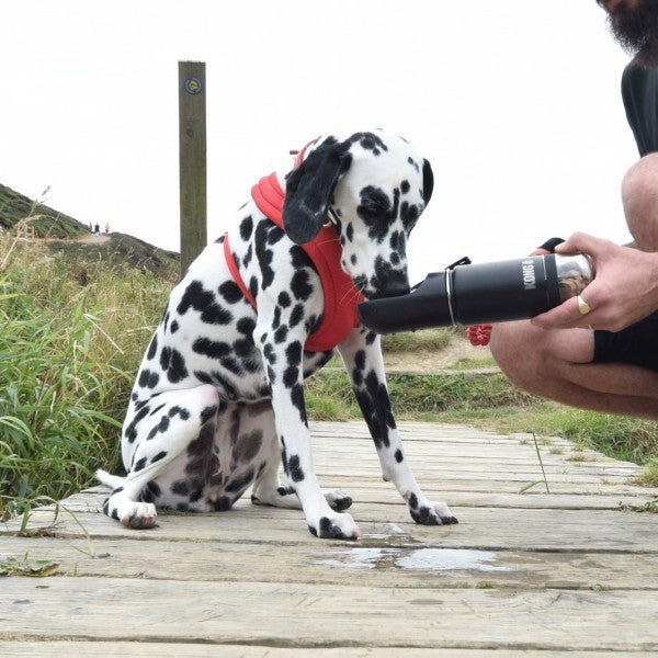 Load image into Gallery viewer, KONG H2O Trek &amp; Treat 295ml - Ashurst Equestrian &amp; Country
