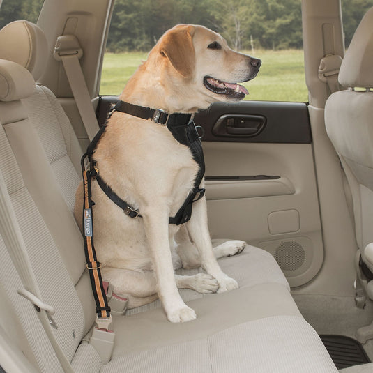 Kurgo Direct To Seatbelt Tether - Ashurst Equestrian & Country
