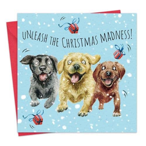 Labrador Madness - Funny Christmas Card - Ashurst Equestrian & Country