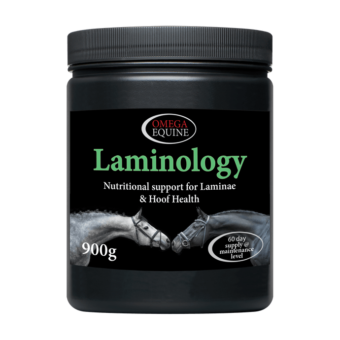 Laminology - Ashurst Equestrian & Country