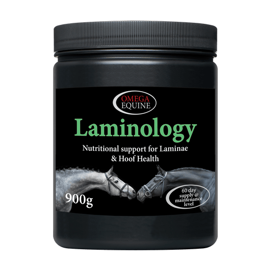Laminology - Ashurst Equestrian & Country