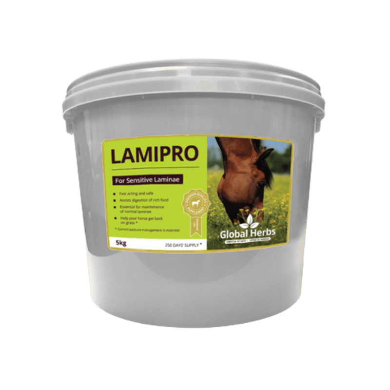 Load image into Gallery viewer, LamiPro - Global Herbs - Ashurst Equestrian &amp; Country

