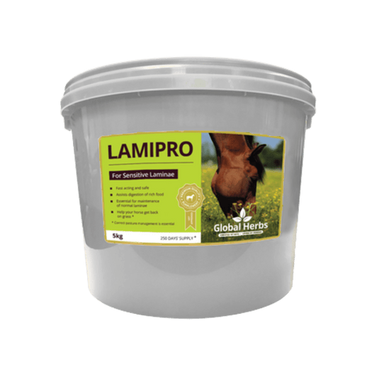 LamiPro - Global Herbs - Ashurst Equestrian & Country