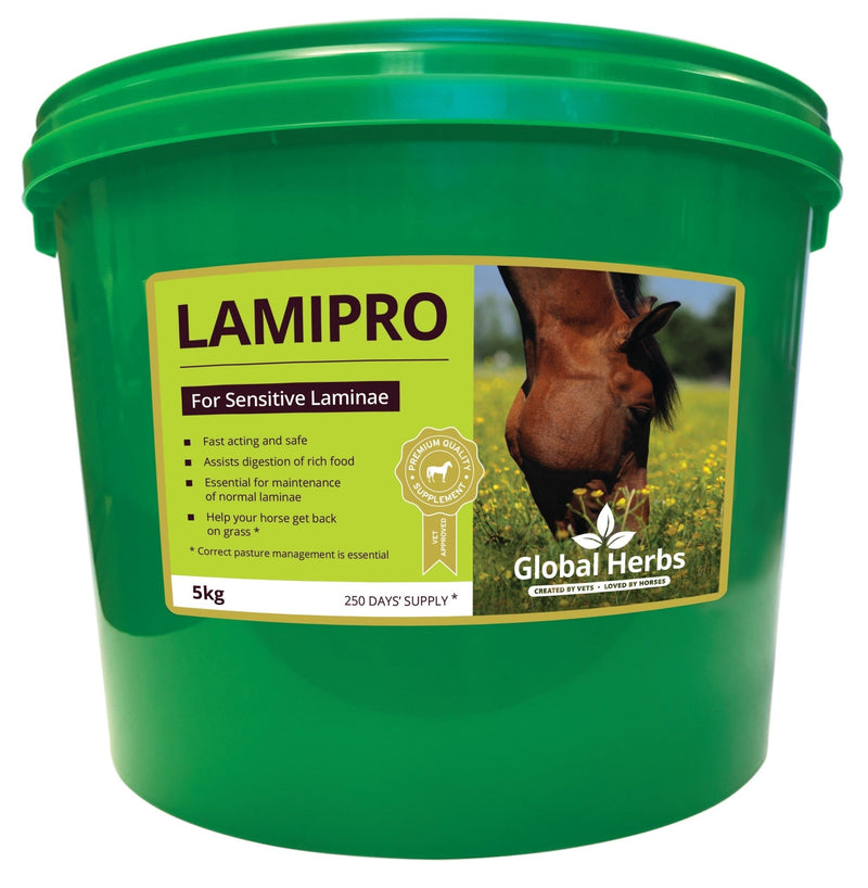 Load image into Gallery viewer, LamiPro - Global Herbs - Ashurst Equestrian &amp; Country
