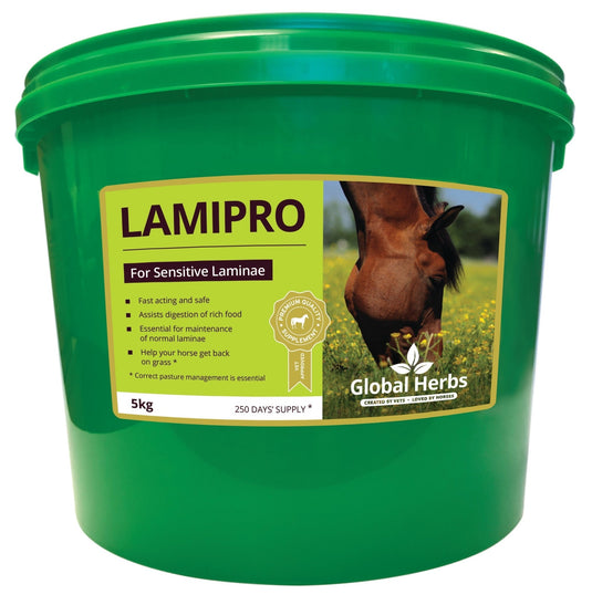 LamiPro - Global Herbs - Ashurst Equestrian & Country