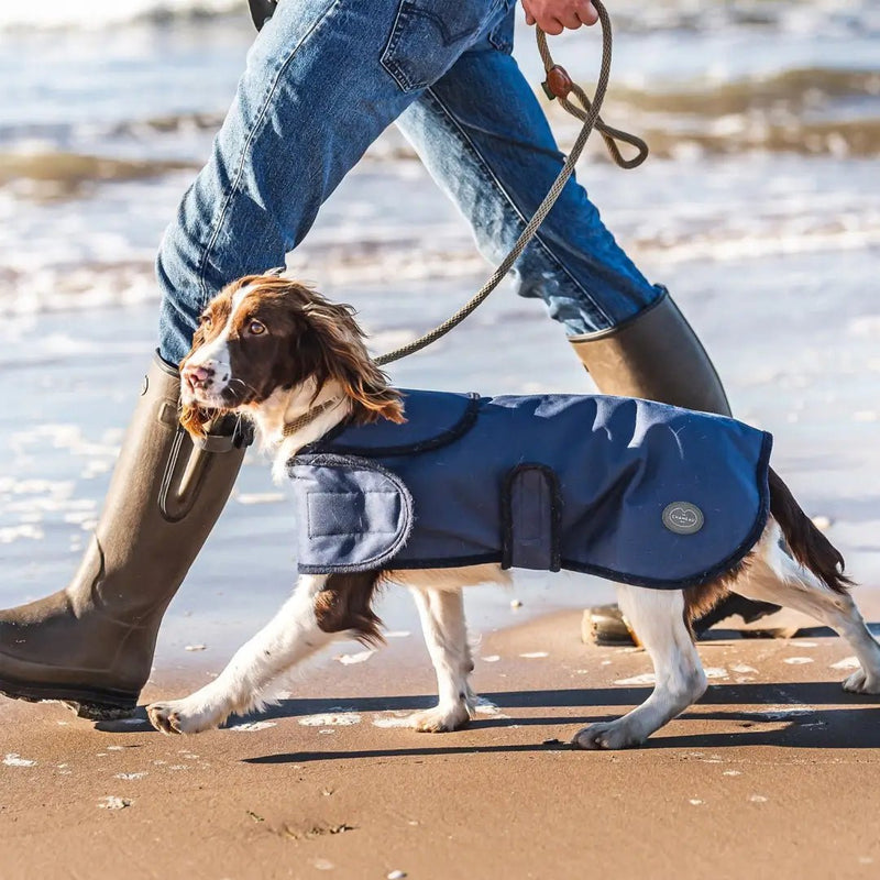 Load image into Gallery viewer, Le Chameau Dog Coat - Bleu Fonce - Ashurst Equestrian &amp; Country

