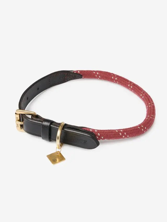 Load image into Gallery viewer, Le Mieux Ascot Rope Dog Collar - Ashurst Equestrian &amp; Country
