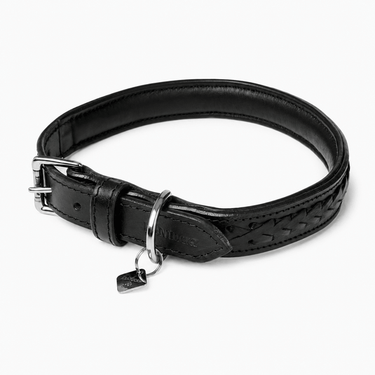 Le Mieux Oxford Dog Collar - Ashurst Equestrian & Country