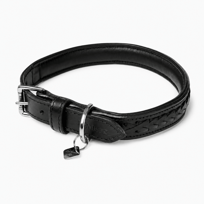Load image into Gallery viewer, Le Mieux Oxford Dog Collar - Ashurst Equestrian &amp; Country
