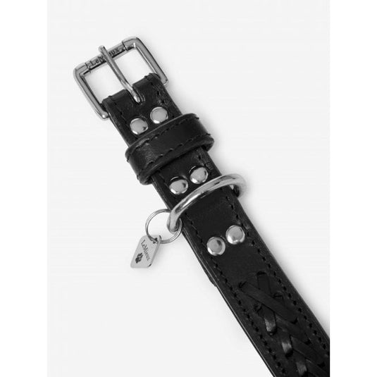 Le Mieux Oxford Dog Collar - Ashurst Equestrian & Country