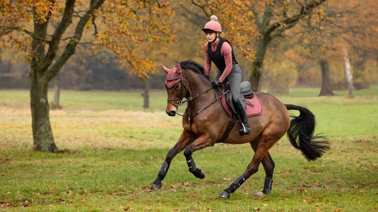 Le Mieux Suede Close Contact Square - Orchid - Ashurst Equestrian & Country