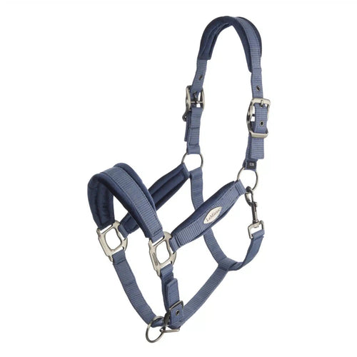 Le Mieux Versailles Headcollar Jay Blue - Ashurst Equestrian & Country
