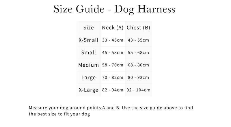 Load image into Gallery viewer, Le Mieux Winchester Mesh Dog Harness - Ashurst Equestrian &amp; Country
