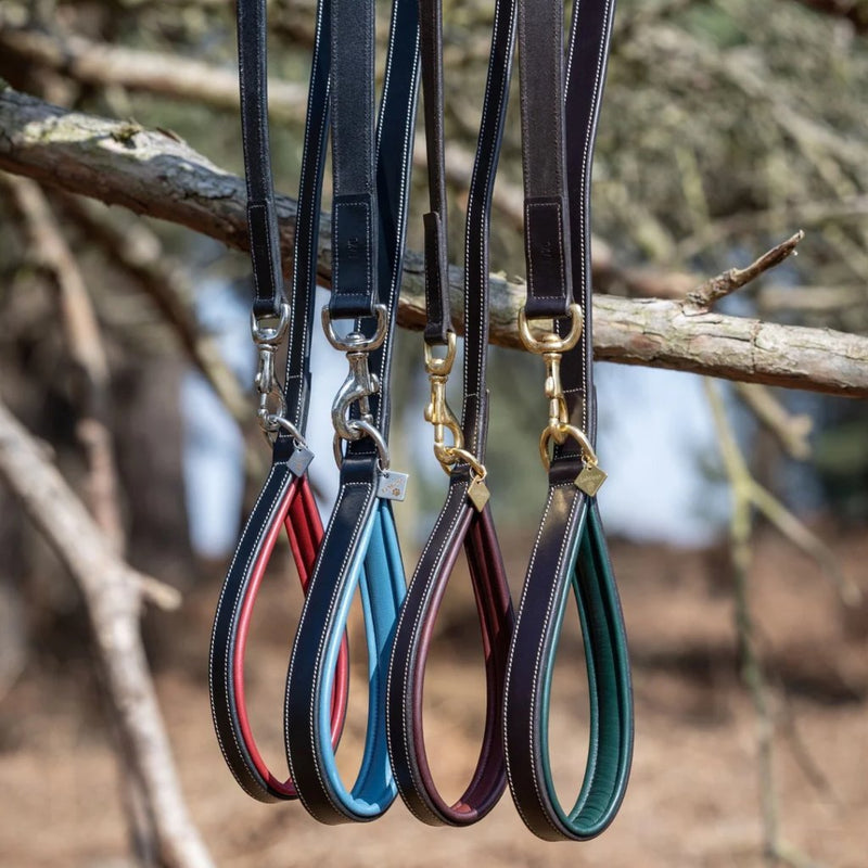 Load image into Gallery viewer, Le Mieux Windsor Dog Lead - Ashurst Equestrian &amp; Country
