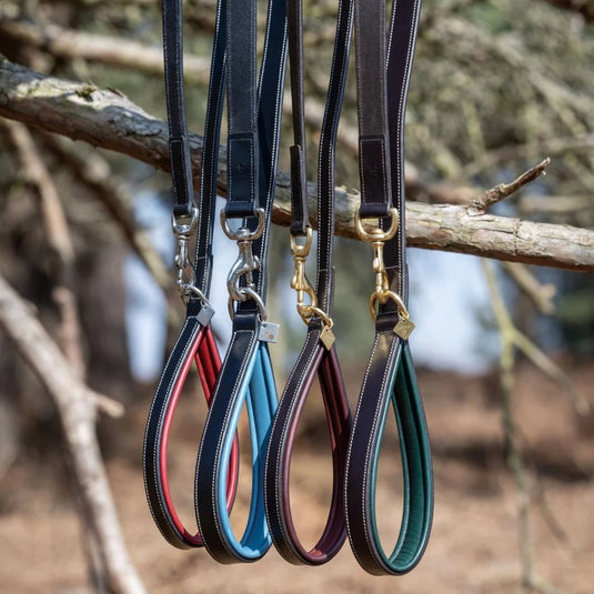 Le Mieux Windsor Dog Lead - Ashurst Equestrian & Country