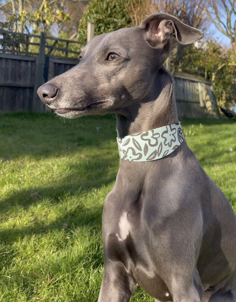 Load image into Gallery viewer, Leather Collar - Botanical - Ashurst Equestrian &amp; Country
