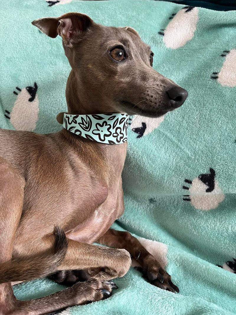 Load image into Gallery viewer, Leather Collar - Botanical - Ashurst Equestrian &amp; Country
