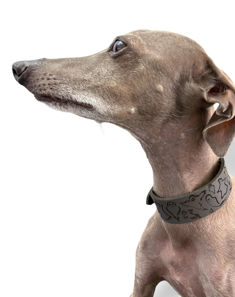 Load image into Gallery viewer, Leather Collar - HALLOWEEN - Ghosties - Ashurst Equestrian &amp; Country
