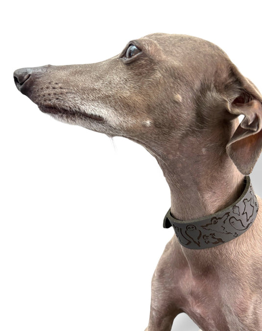 Leather Collar - HALLOWEEN - Ghosties - Ashurst Equestrian & Country