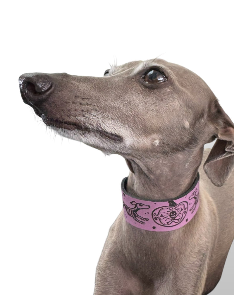 Load image into Gallery viewer, Leather Collar - HALLOWEEN - Skele - Hounds - Ashurst Equestrian &amp; Country
