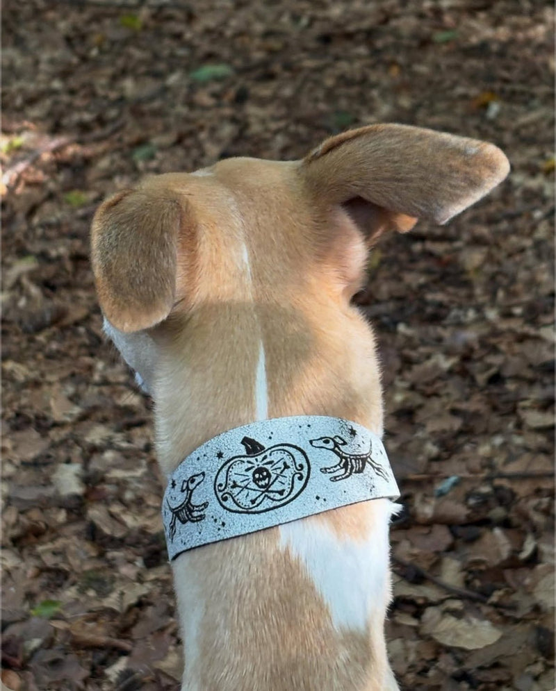 Load image into Gallery viewer, Leather Collar - HALLOWEEN - Skele - Hounds - Ashurst Equestrian &amp; Country
