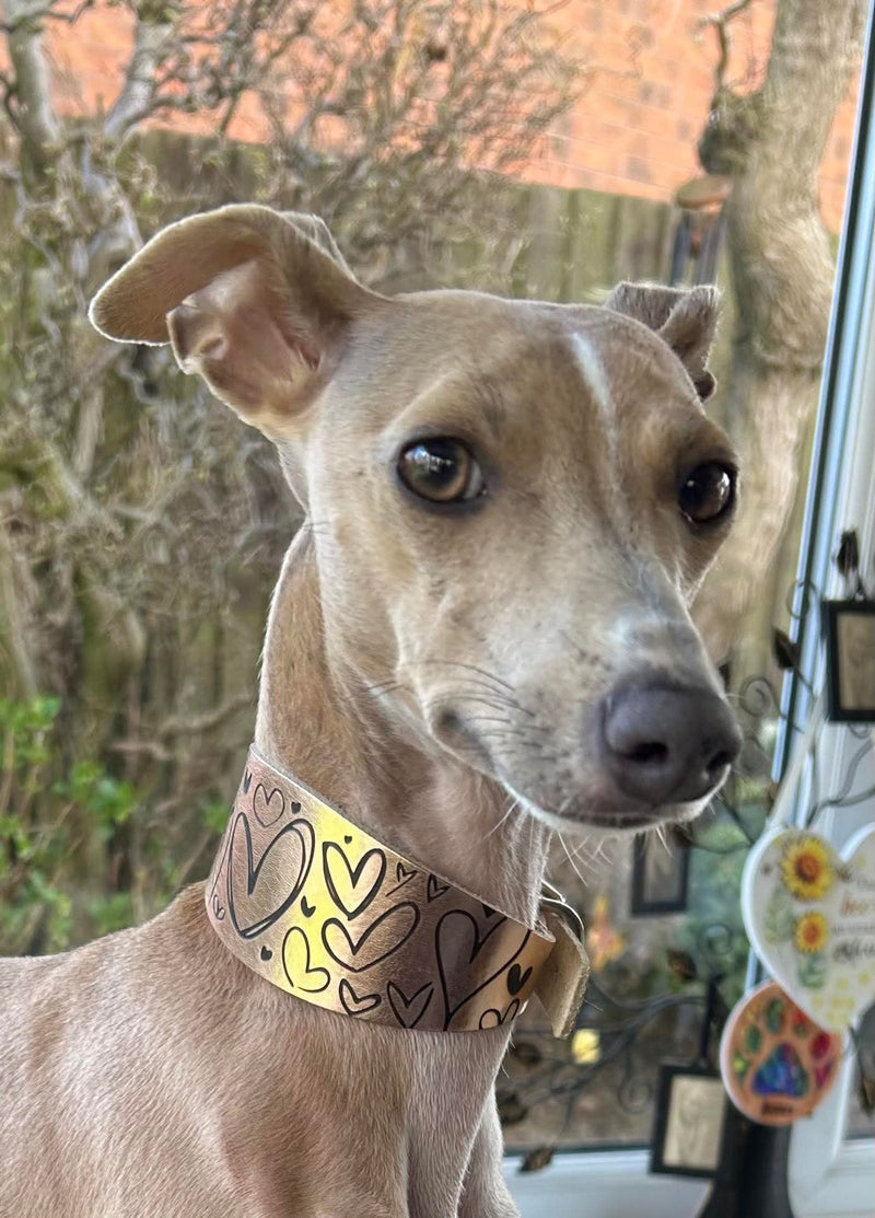 Load image into Gallery viewer, Leather Collar - Hearts - Ashurst Equestrian &amp; Country
