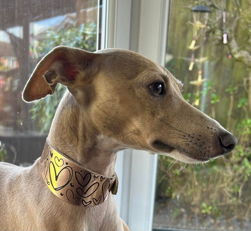 Load image into Gallery viewer, Leather Collar - Hearts - Ashurst Equestrian &amp; Country
