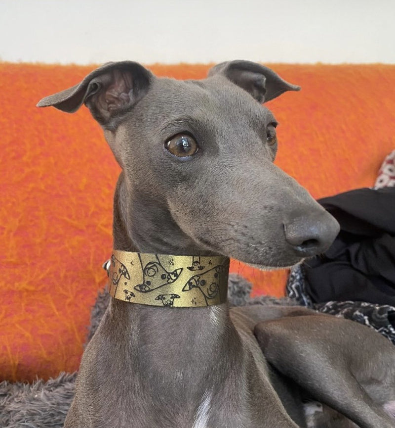 Load image into Gallery viewer, Leather Collar - Hounds - Ashurst Equestrian &amp; Country
