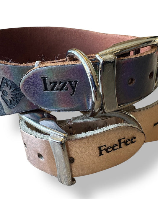 Leather Collar - Hounds - Ashurst Equestrian & Country