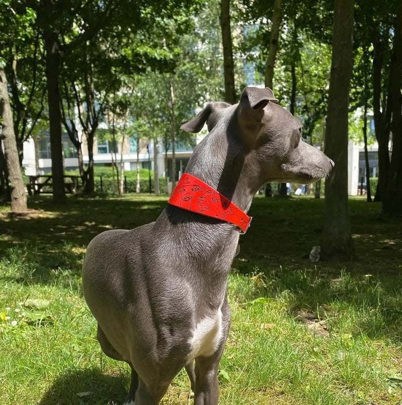 Load image into Gallery viewer, Leather Collar - Hounds - Ashurst Equestrian &amp; Country
