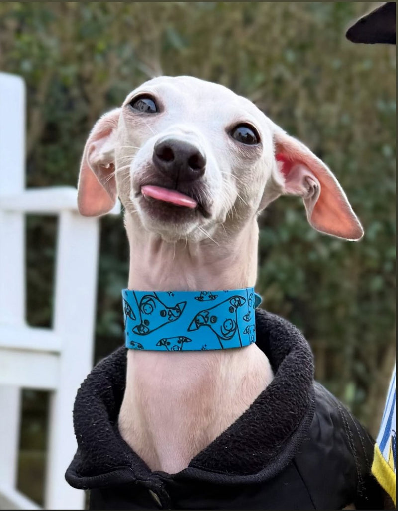 Load image into Gallery viewer, Leather Collar - Hounds - Ashurst Equestrian &amp; Country
