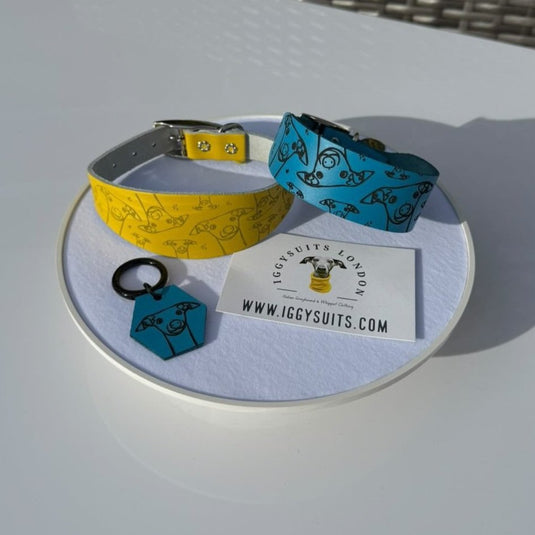 Leather Collar - Hounds - Ashurst Equestrian & Country