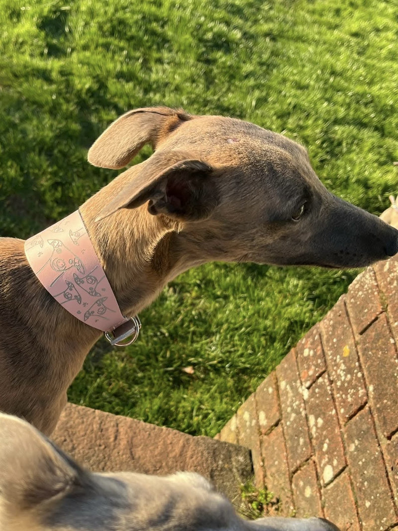 Load image into Gallery viewer, Leather Collar - Hounds - Ashurst Equestrian &amp; Country
