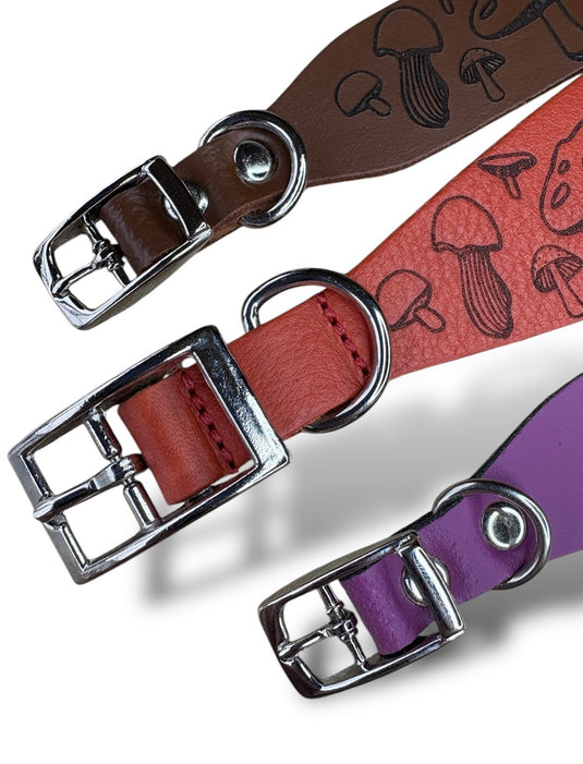 Leather Collar - Mushroom - Ashurst Equestrian & Country