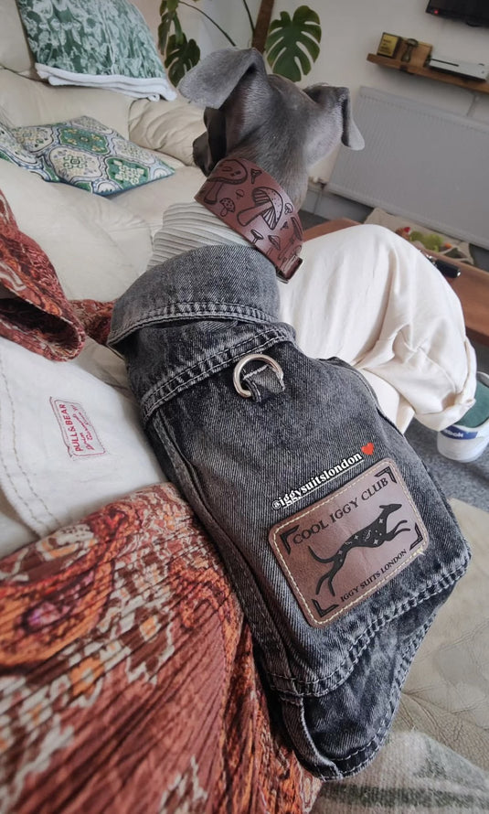 Leather Collar - Mushroom - Ashurst Equestrian & Country