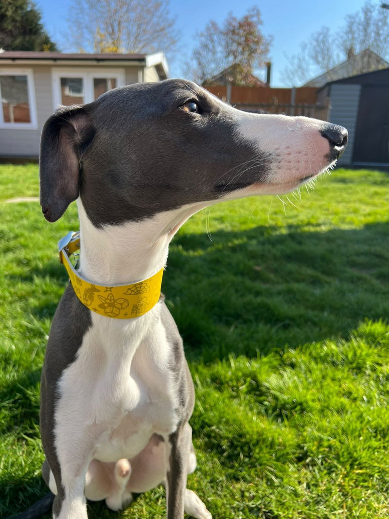 Load image into Gallery viewer, Leather Collar - Tattoo Flash - Ashurst Equestrian &amp; Country
