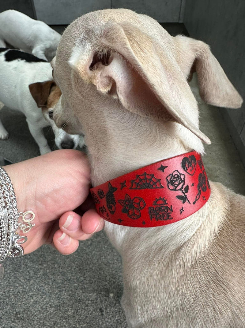 Load image into Gallery viewer, Leather Collar - Tattoo Flash - Ashurst Equestrian &amp; Country

