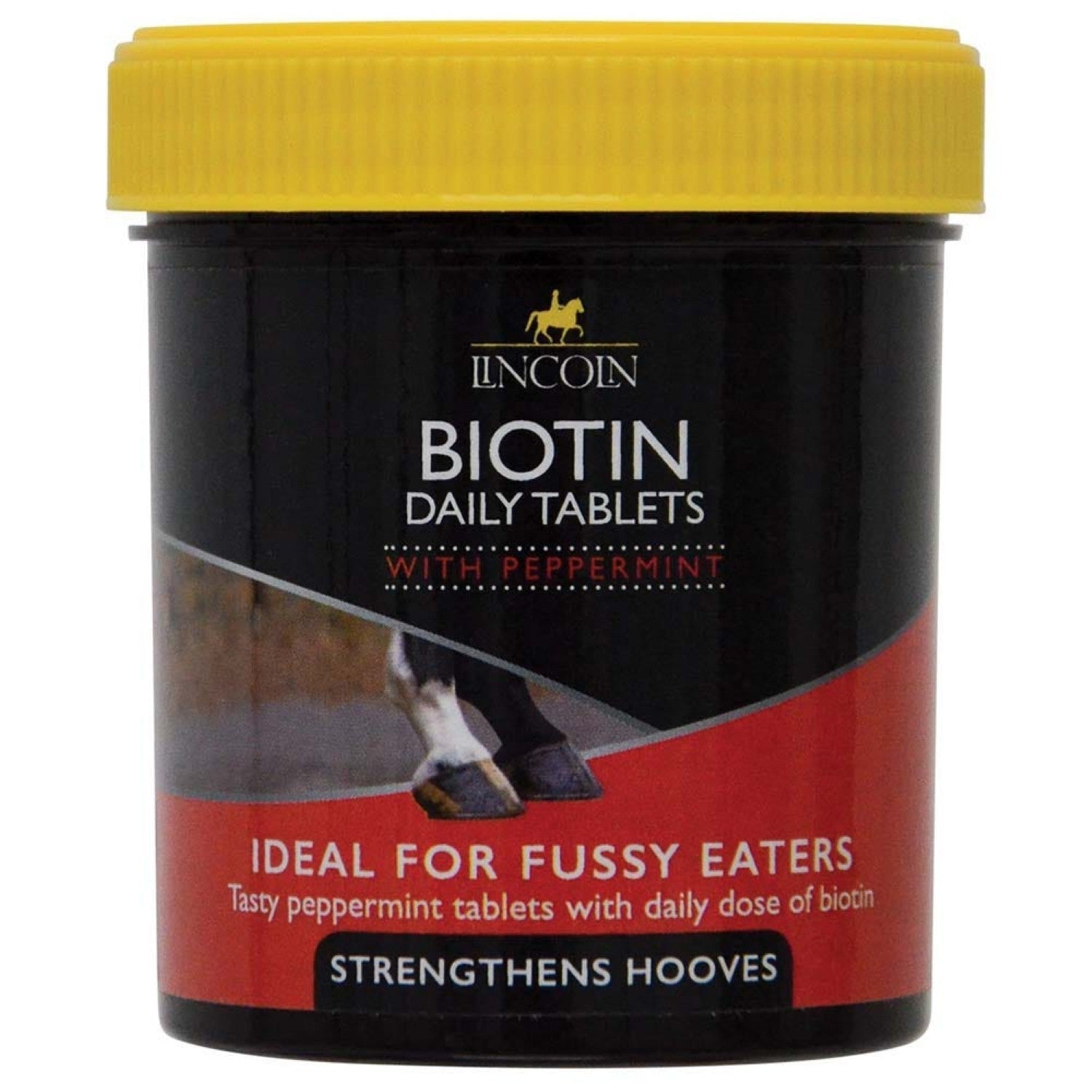 Lincoln Biotin Daily Tablets Peppermint – Ashurst Equestrian & Country