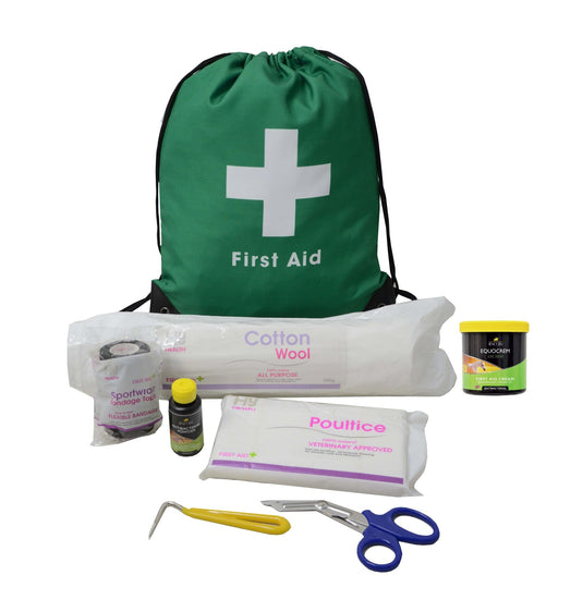 Lincoln First Aid Travel Bag - Ashurst Equestrian & Country