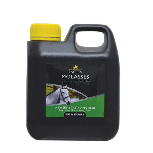 Lincoln Molasses - Ashurst Equestrian & Country